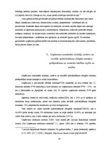 Prakses atskaite 'Prakses pārskats SIA "Carat"', 29.