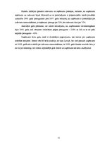 Prakses atskaite 'Prakses pārskats SIA "Carat"', 31.