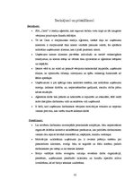 Prakses atskaite 'Prakses pārskats SIA "Carat"', 32.