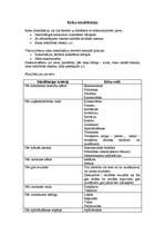 Konspekts 'Risku klasifikācija', 1.