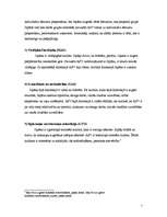 Konspekts 'Saskarsmes partneru kultūru atšķirību izpausmes saziņā', 5.