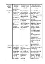 Referāts 'Politiskie režīmi', 22.