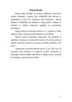 Biznesa plāns 'SIA "Cybertex"', 3.