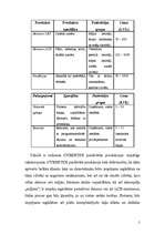 Biznesa plāns 'SIA "Cybertex"', 5.