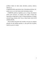 Biznesa plāns 'SIA "Cybertex"', 6.