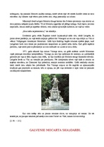 Referāts 'Mocarts', 8.