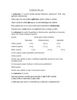 Paraugs 'Dabasvielas', 1.