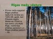 Prezentācija 'Rīgas mežu vēsture', 3.