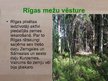 Prezentācija 'Rīgas mežu vēsture', 4.