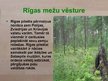 Prezentācija 'Rīgas mežu vēsture', 6.
