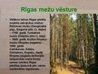 Prezentācija 'Rīgas mežu vēsture', 8.