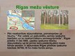 Prezentācija 'Rīgas mežu vēsture', 11.