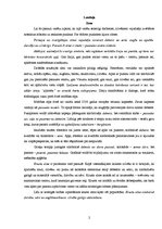 Referāts 'V.Kavacs "Mākslas valodas pamati"', 2.