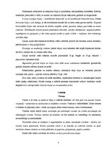 Referāts 'V.Kavacs "Mākslas valodas pamati"', 4.