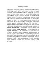 Konspekts 'Orhideju dzimta', 3.