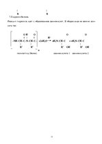 Referāts 'Белки (протеины)', 15.