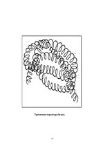 Referāts 'Белки (протеины)', 25.