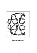 Referāts 'Белки (протеины)', 26.