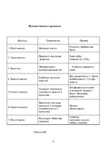 Referāts 'Белки (протеины)', 29.
