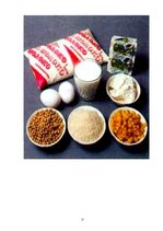 Referāts 'Белки (протеины)', 31.