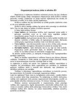 Eseja 'Organizācijas kultūra, kādu to atbalstu es', 1.