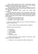 Eseja 'Organizācijas kultūra, kādu to atbalstu es', 2.