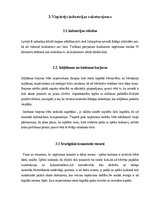 Referāts 'Industrijas analīze', 5.