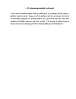 Referāts 'Industrijas analīze', 10.