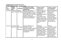 Prakses atskaite 'Aprūpes plāns pediatrijā', 12.