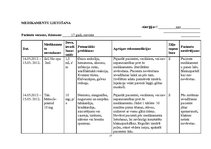 Prakses atskaite 'Aprūpes plāns pediatrijā', 17.