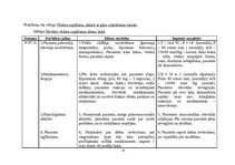 Prakses atskaite 'Aprūpes plāns pediatrijā', 24.