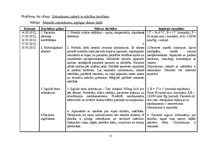 Prakses atskaite 'Aprūpes plāns pediatrijā', 25.