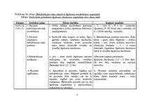 Prakses atskaite 'Aprūpes plāns pediatrijā', 27.