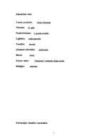 Konspekts 'Amannēze un māsu diagnozes', 1.