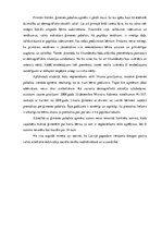 Eseja 'Sociālās tiesības', 4.