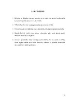 Referāts 'Ainava Latvijas mākslā', 12.