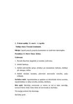 Prakses atskaite 'Aktīvās audzināšanas mācību prakse pirmsskolā', 15.