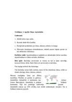 Prakses atskaite 'Aktīvās audzināšanas mācību prakse pirmsskolā', 20.