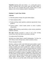 Prakses atskaite 'Aktīvās audzināšanas mācību prakse pirmsskolā', 31.