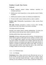 Prakses atskaite 'Aktīvās audzināšanas mācību prakse pirmsskolā', 34.