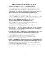 Referāts 'Ārvalstu viesu apkalpošana', 11.