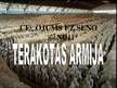Prezentācija 'Terakotas armija', 1.