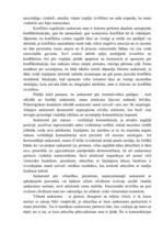 Eseja 'Es saskarsmē', 3.