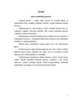 Referāts 'Estētika', 2.