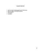 Konspekts 'Referāts būvķīmijā', 17.