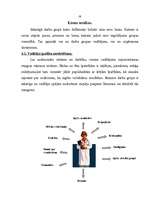 Referāts 'Darbs grupās', 12.