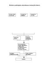 Referāts 'Darbs grupās', 20.