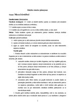 Konspekts 'Stundas konspekts un kalendāri tematiskais mācību plāns 3.klasei', 2.