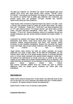 Referāts 'Ingrīda Edīte Saulīte', 5.