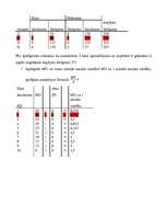 Konspekts 'Elastības jēdziens', 8.